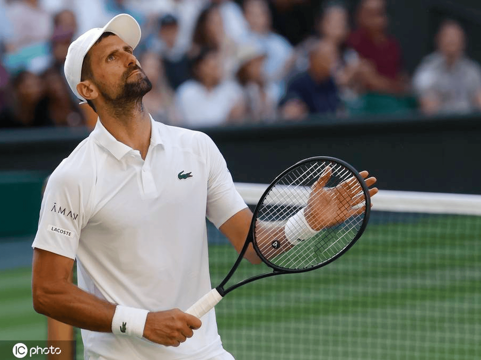 年终总决赛逆转联合杯,德约科维奇点燃赛场 年终总决赛逆转联合杯,德约科维奇点燃赛场