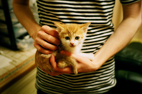 钢铁脊柱—奥恰洛夫独取两分扛起德国战车，力克波兰锁定生死线