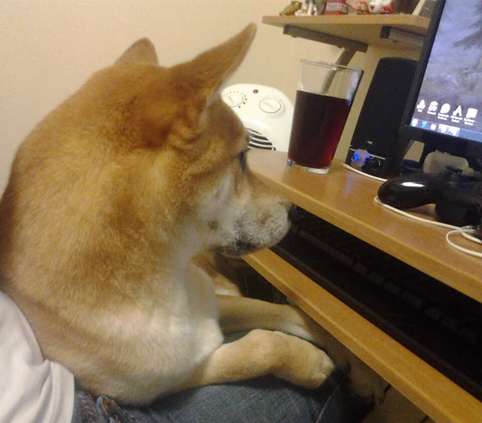 孤星难耀，武切维奇空砍新高，热火窒息防守绞杀步行者