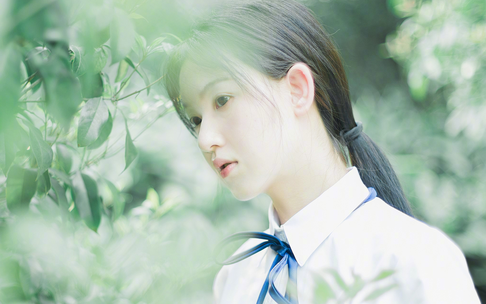 绿茵意志的黄昏与炮火，为何人人渴望见证C罗的绝唱与大黄蜂的血战？