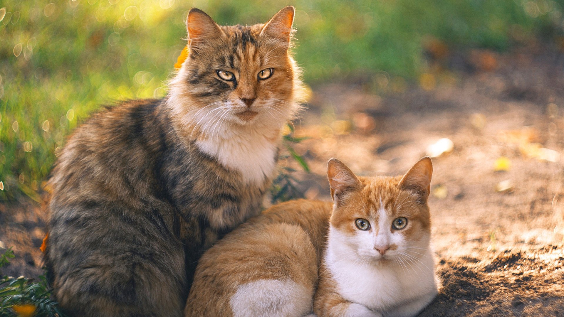 当奥地利体系遇上蓝黑军团,萨内如何用防守艺术完成非典型锁死