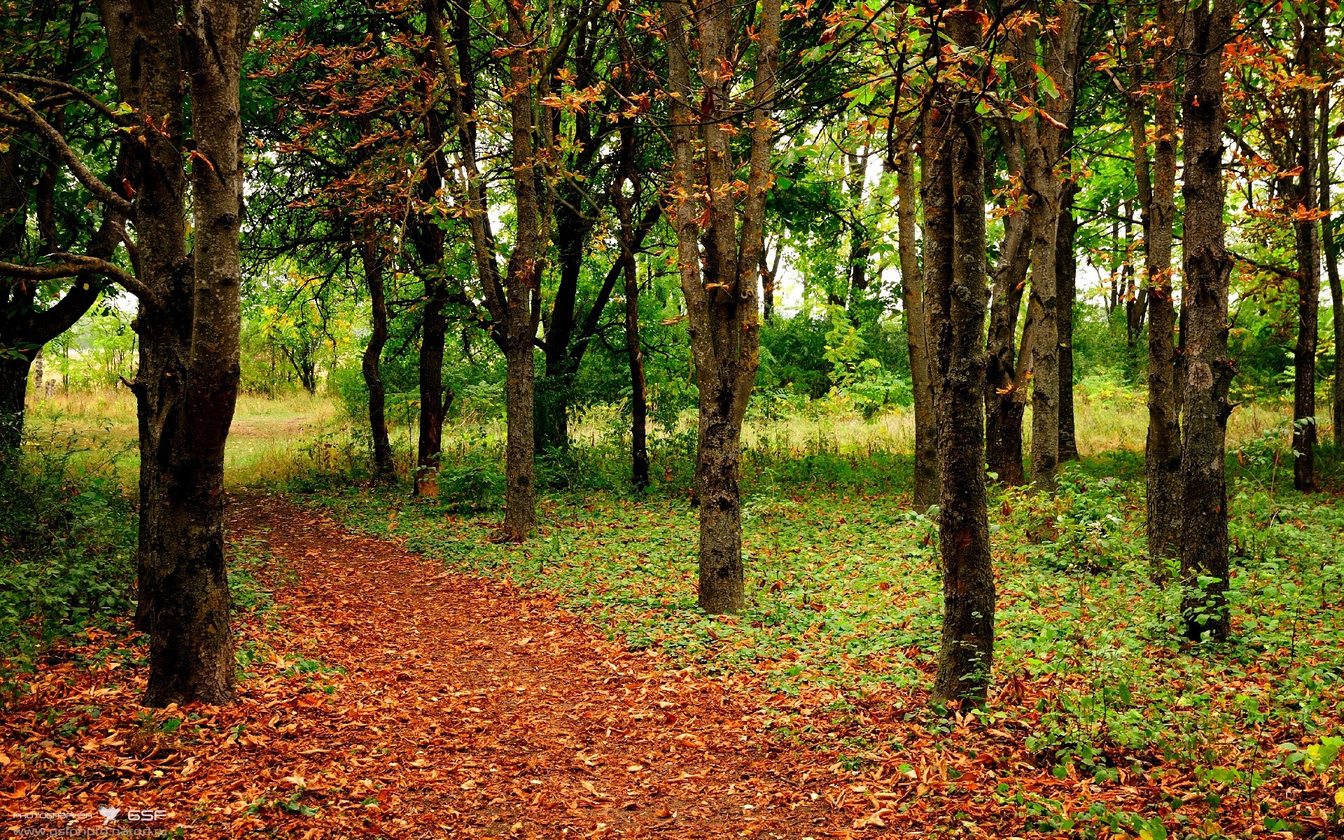 钢铁防线化身尖刀，阿坎吉90分钟神剧本绝杀波兰