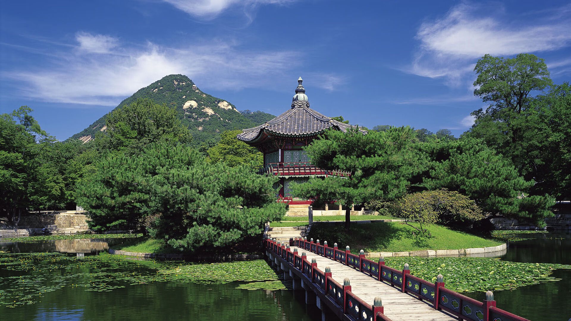 郁金香风暴,2026世界杯黑马之战,荷兰以全场压制之势横扫丹麦,福登致命一击定乾坤