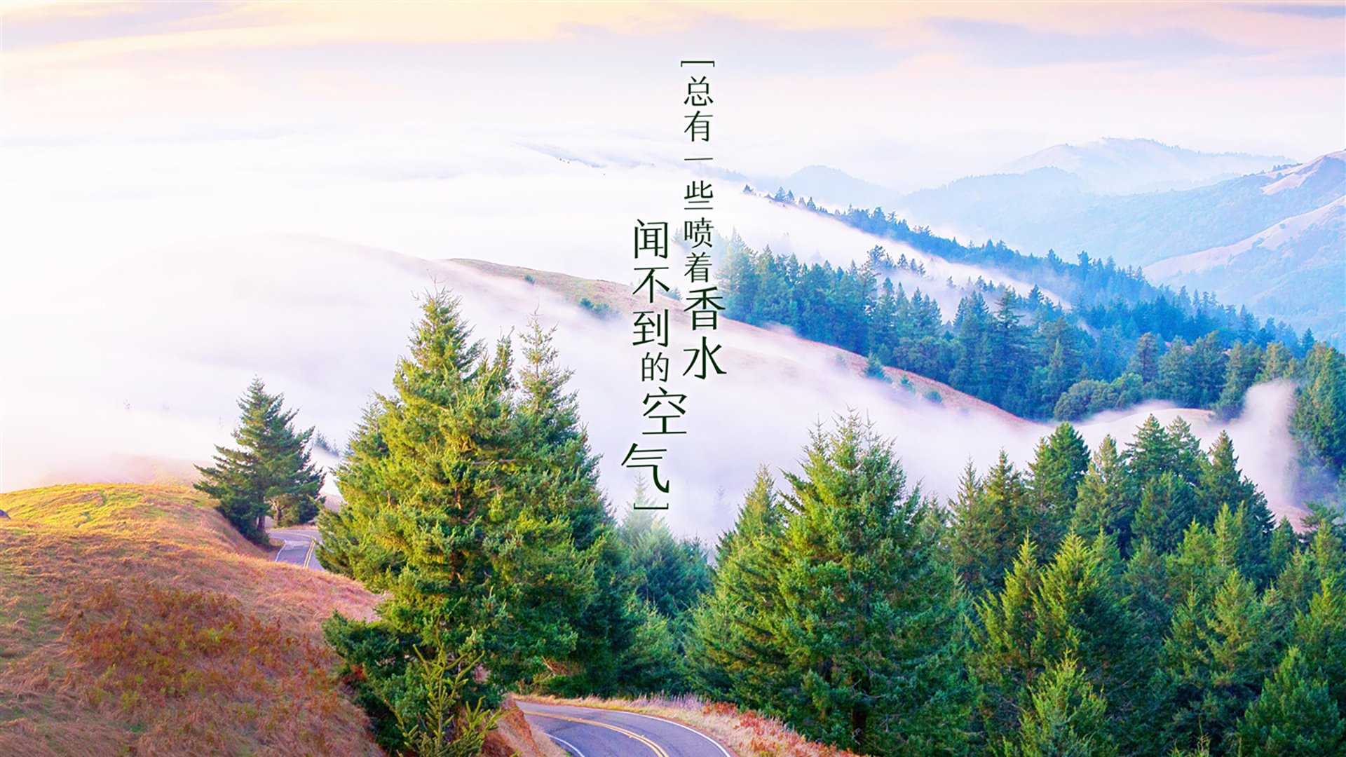 逆战2026，美利坚的钢铁意志，与B费那抹划破长空的葡萄牙之光