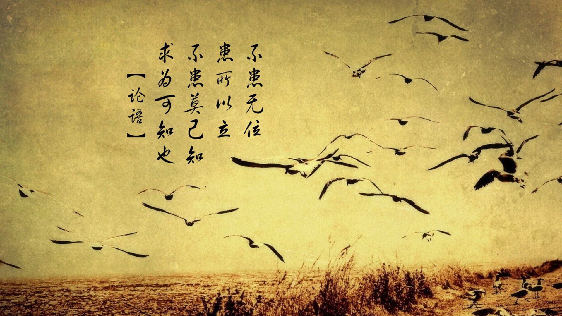 钢铁之墙与闪电一击,范戴克领衔比利时,防守反击击碎德国战车